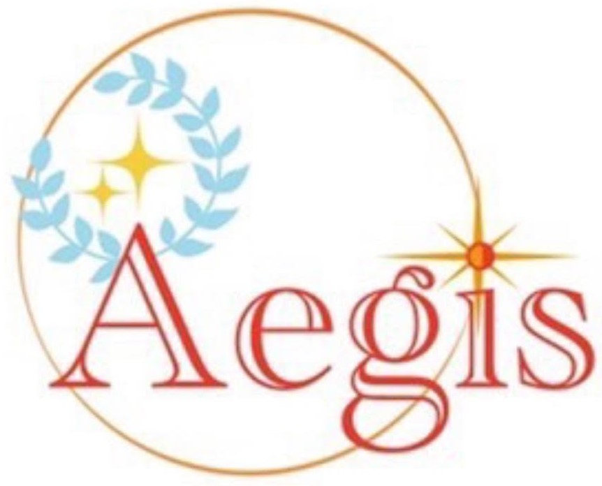 株式会社Aegis-アイギス-